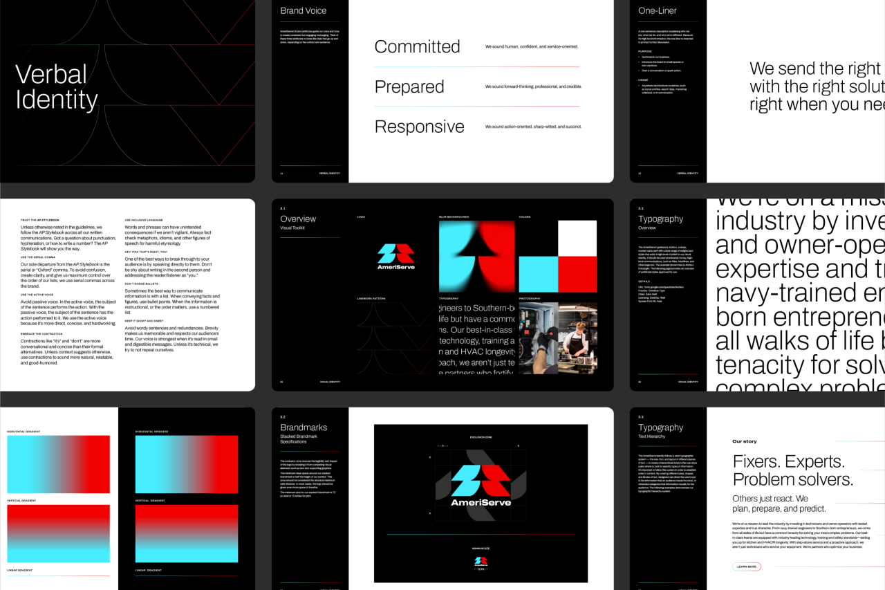 Ameri Serve Guidelines