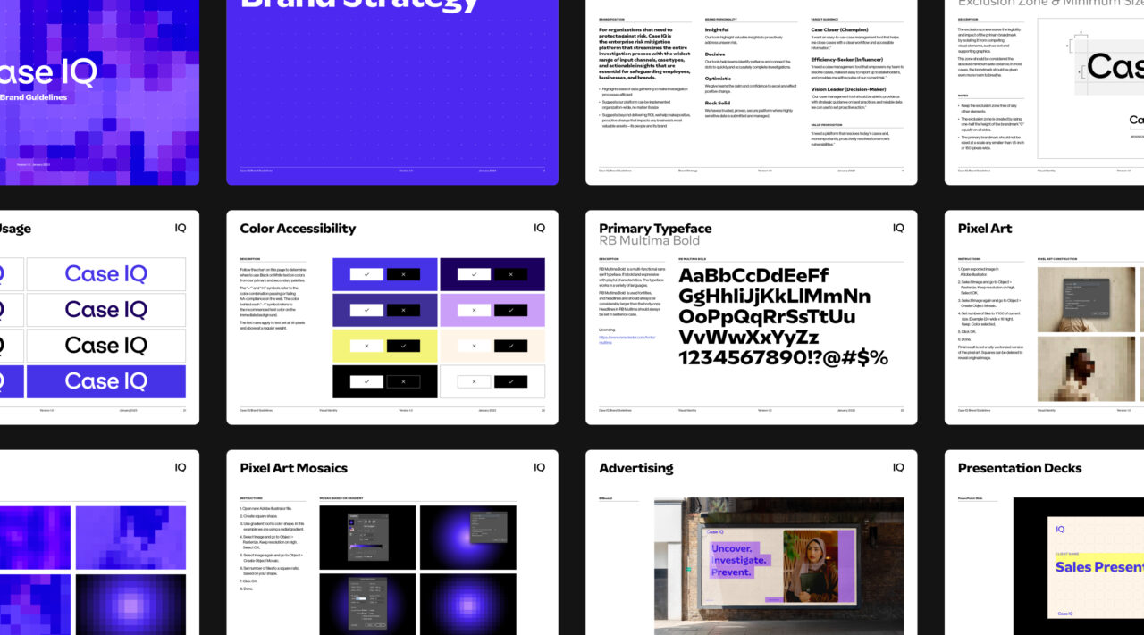 Case IQ Case Study Guidelines